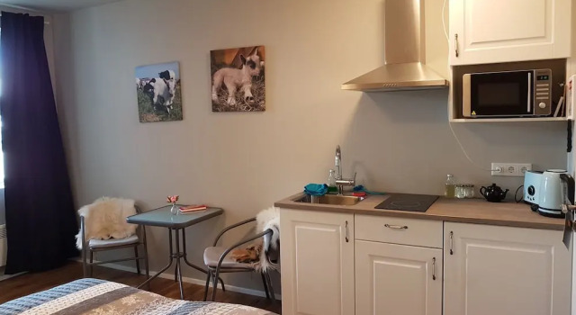 Студия Skálatjörn Guesthouse