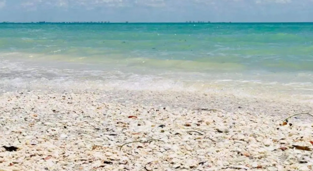 Sanibel Siesta on the Beach Unit 503 2 Bedrooms 2 Bathrooms Condo
