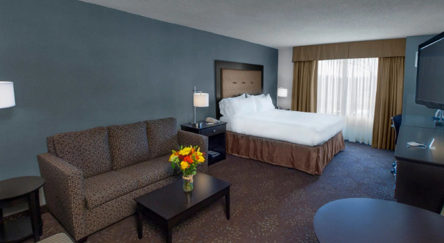 Двухместный люкс Holiday Inn Express & Suites Buffalo Airport, NY