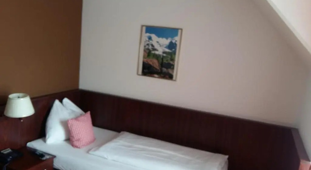 Одноместный номер Standard Hotel Enziana Wien