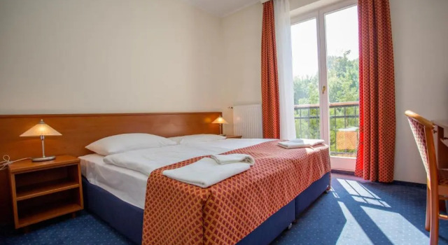 Номер Standard Főnix Hotel