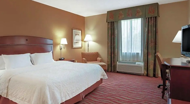 Люкс Standard Hampton Inn & Suites Port Richey