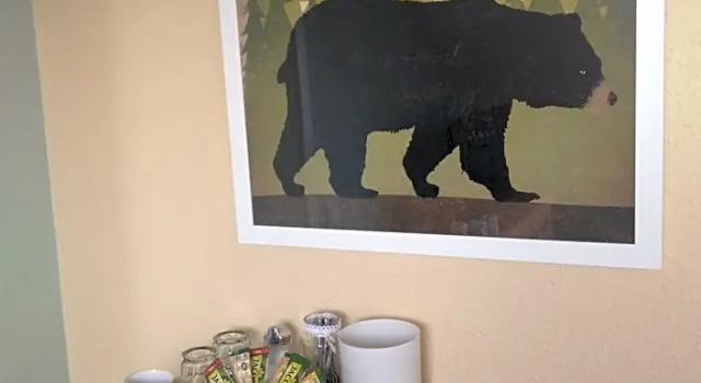Семейный номер Standard Rheinauer Hof - bed & breakfast