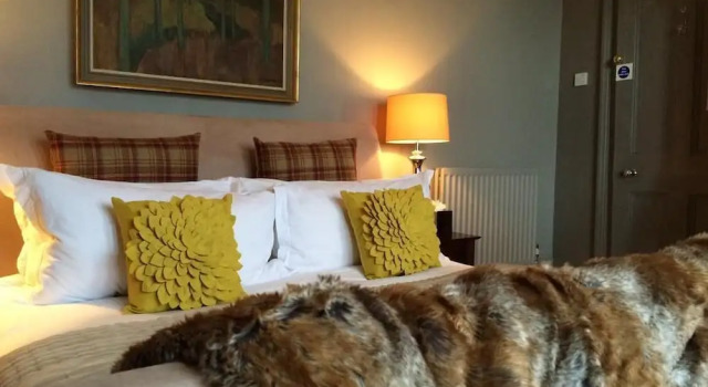 No. 20 Bed And Breakfast, Забронировать Отель Хеленсборо 