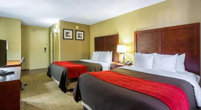 Шестиместный номер Standard Comfort Inn Cleveland Downtown