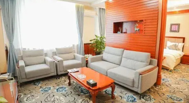Двухместный люкс Business Urumqi Xilaishun Hotel