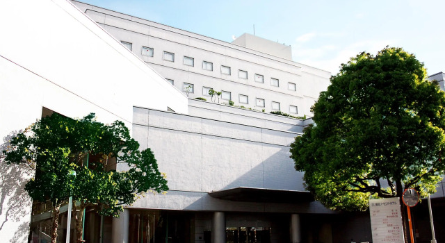 Номер Standard Fukuoka Recent Hotel