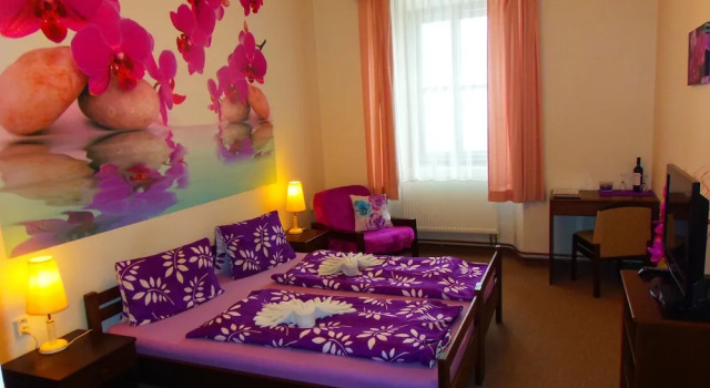 Номер Standard Hotel Stará škola na Šumavě