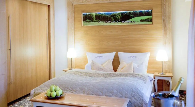 Двухместный номер Superior Landhotel Napoleon