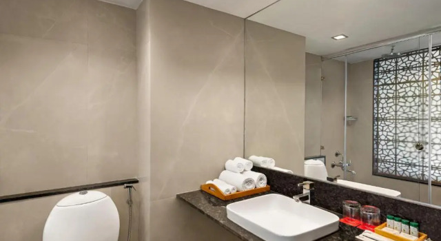 Двухместный номер Club с видом на город Ramada by Wyndham Jaipur North