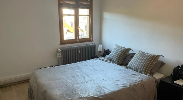 Appartement 3 pieces centre du Hohwald # 201