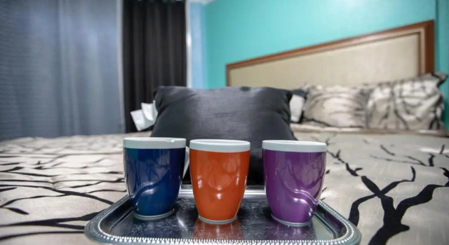Номер Standard Hotel Sunnyside