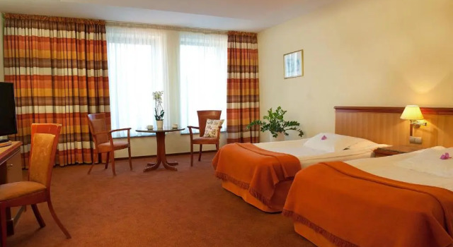 Двухместный номер Standard Hotel Amadeus