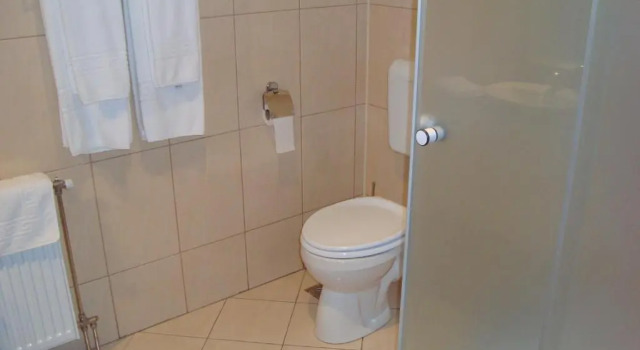 Номер Standard Pensiunea Sapte Flori
