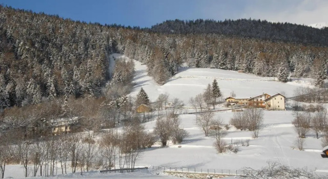 Апартаменты c 1 комнатой с видом на сад Agriturismo Plan dAvie