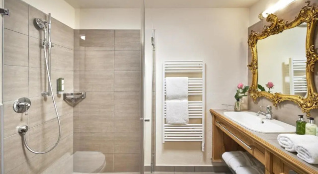 Двухместный номер Standard Hotel Schloss Mittersill