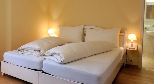 Двухместный номер Standard с видом на озеро Seehof Hotel Du Lac