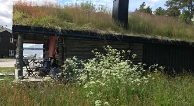 Båtstø Camping, Reserva ahora Camping Elga Hedmark