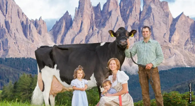 Номер Deluxe Agriturismo Kabishof