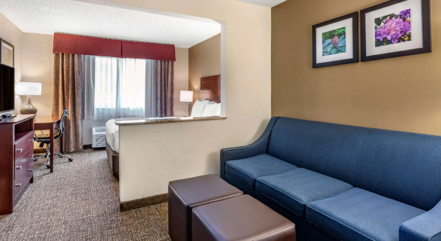 Двухместный номер Standard Comfort Inn & Suites Kelso - Longview