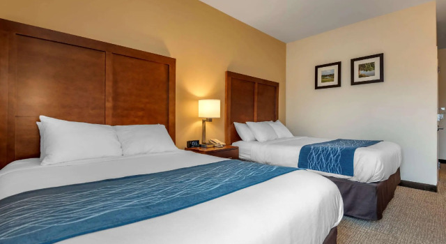 Четырёхместный номер Standard Comfort Inn Apalachin - Binghamton W Route 17
