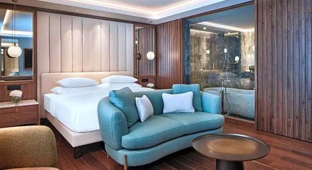 Двухместный Пентхаус люкс Grand Hyatt Athens
