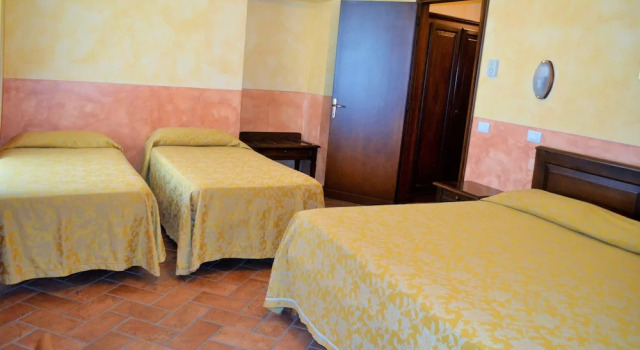 Номер Standard Hotel Oasi Neumann