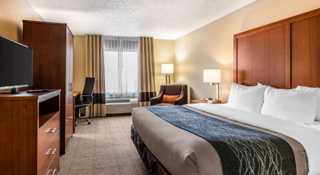 Двухместный номер Standard Comfort Inn & Suites Airport-American Way