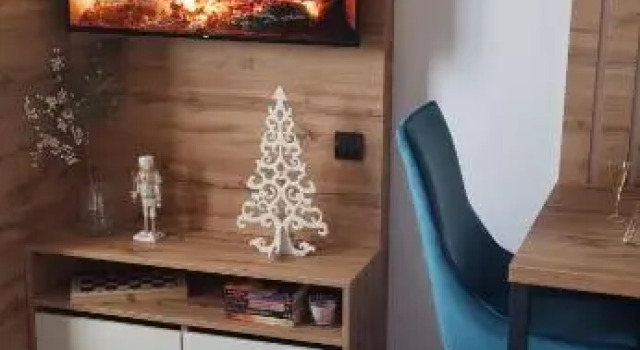 Apartman LANE A11 Djina, Buchen Sie Ferienwohnung Kopaonik 