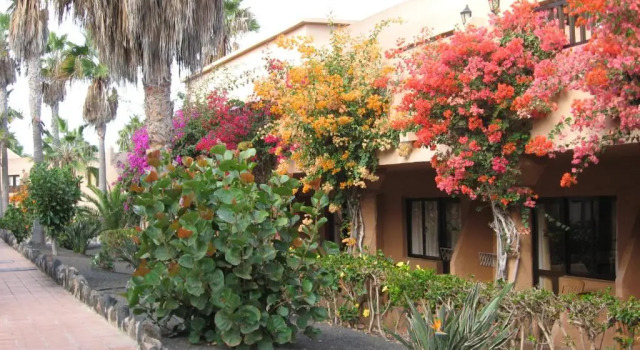 Sunny, Cosy Apartment on Ist Floor of Holiday Complex, Prenota Appartamento Hotel a Isole Canarie con parcheggio, Parcheggio
