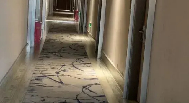 LinQuan Spring Garden Hotel, Prenota Hotel Hotel a Anhui con parcheggio, Parcheggio