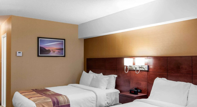 Standardní Čtyřlůžkový pokoj Hotel Gander