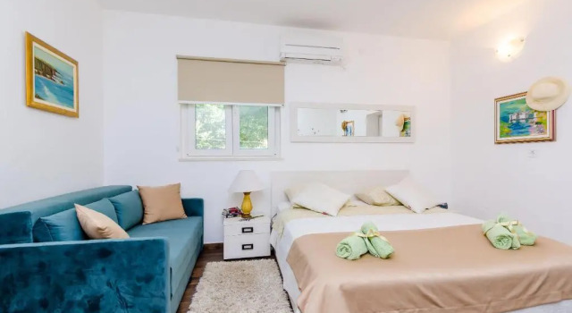 Апартаменты c 1 комнатой Camelia Luxury Apartments
