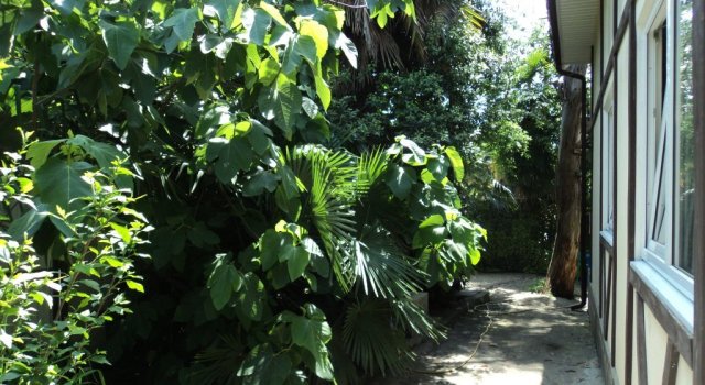 Guest house Uiut