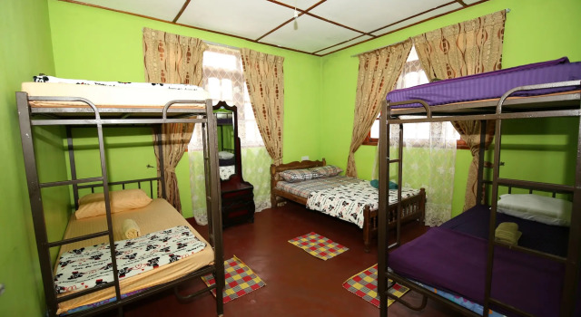 Blooms Lily Hostel