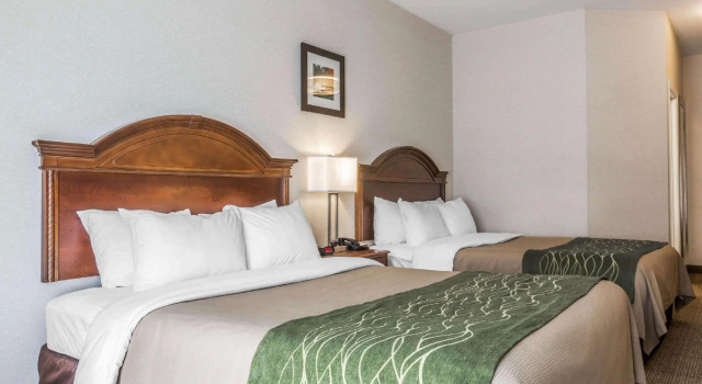 Четырёхместный номер Standard Comfort Inn & Suites South Burlington near University