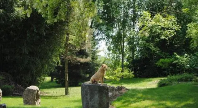 Villa Hedi Panzió