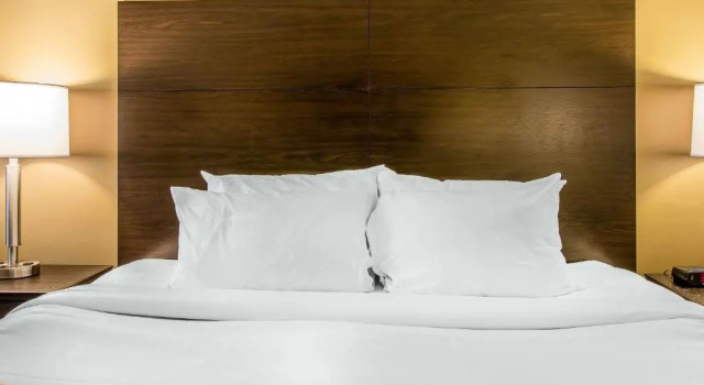Номер Standard Quality Inn & Suites Houghton Downtown