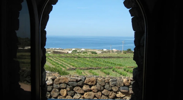 Коттедж Agriturismo Zibibbodoro