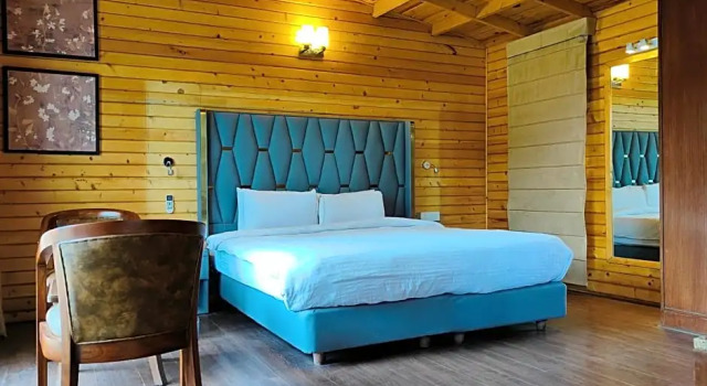 Номер Superior Kasauli Hills Resort