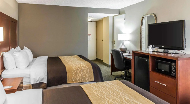 Четырёхместный номер Standard Comfort Inn Pentagon City
