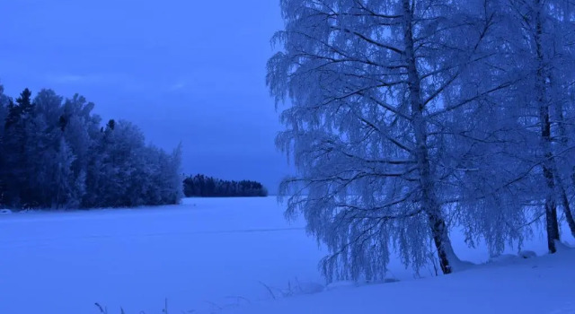Номер Standard Petäys Resort