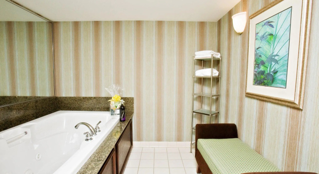 Двухместный люкс Holiday Inn Express Indianapolis Airport by IHG