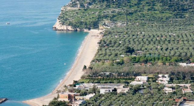 Студия Agriturismo Giorgio