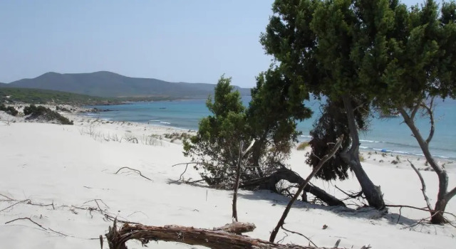 Апартаменты South Sardinia Holidays, 5 minutes to Chia