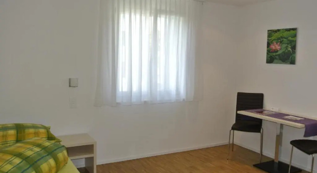 Номер Standard Hotel Garni Bären Bazenheid