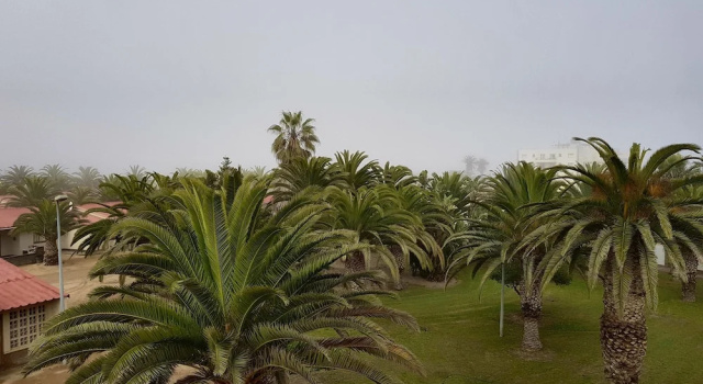 Кровать в общем номере Swakopmund Backpackers