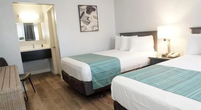 Четырёхместный номер Standard The Alcala Hotel Mission Valley Seaworld
