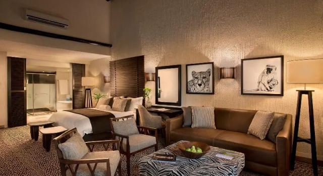 Одноместный номер Standard с балконом Bakubung Bush Lodge
