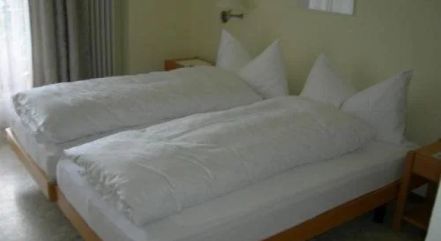 Hotel Zelindo, Prenota Hotel Losone 